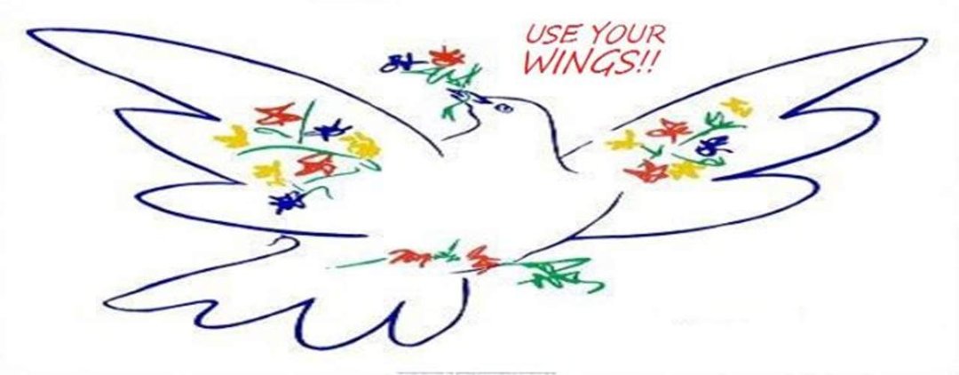 Cindy Conte's album, Cover Photos