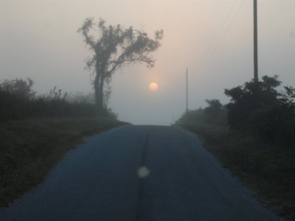 Aaron Mullin's album, Pic's