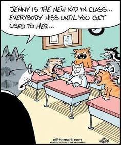 Teri Adams' album, Timeline Photos