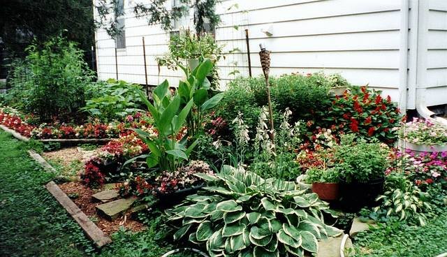 Phyllis Huseth's album, Timeline Photos
