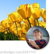 Richard Heiser's album, Profile Pictures