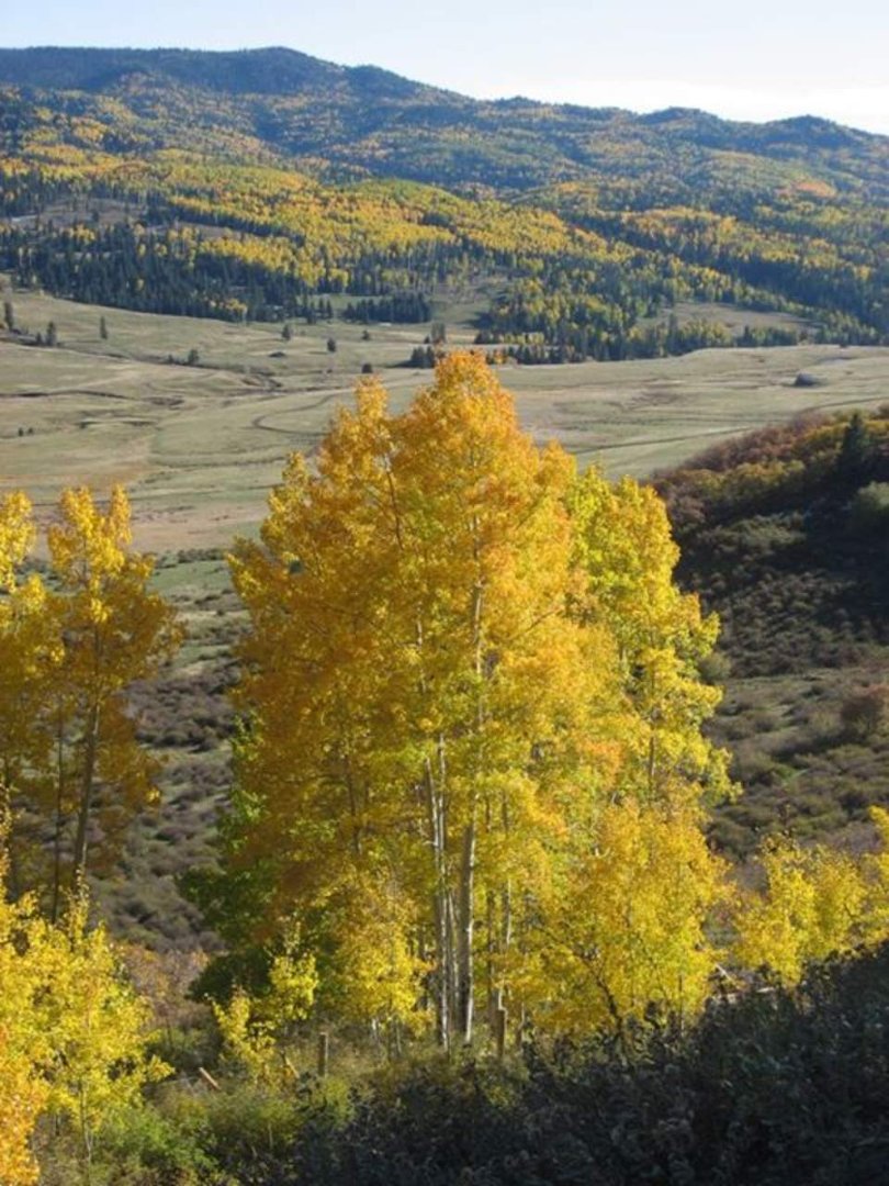 Tami Roberts' album, Why we love living in Colorado
