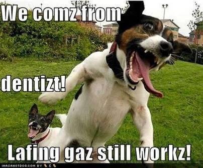 Michael Dicus' album, Timeline Photos