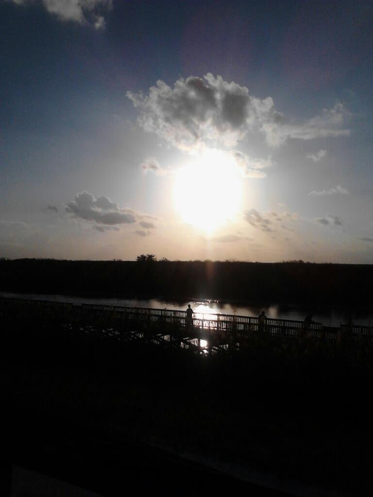 Paul Appleton's album, Mobile Uploads