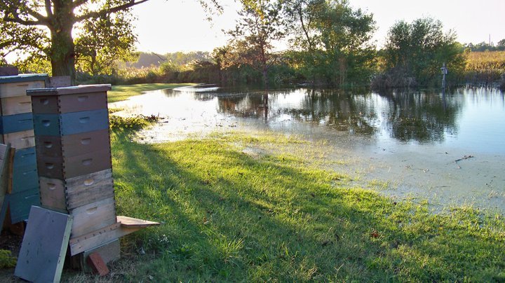 John Chobrda's album, Delaware