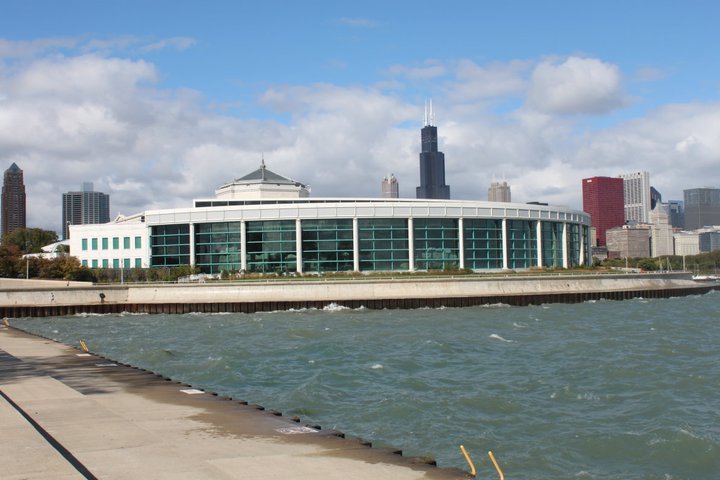 Anne Buster's album, Chicago 2010