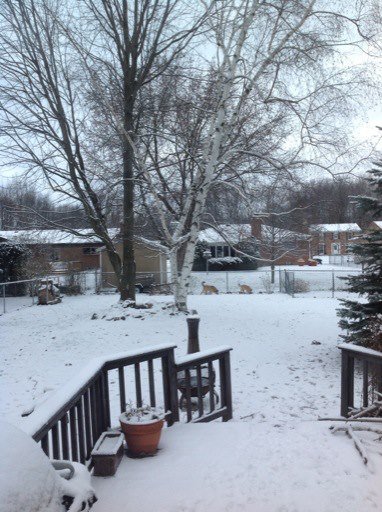 Nancy Mularski's album, iOS Photos