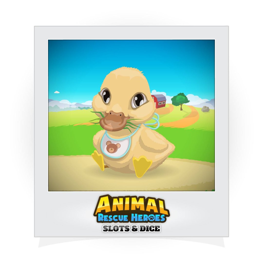 Shawn Fleeman's album, Animal Rescue Heroes: Slots&Dice Photos