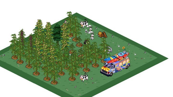 Lark Mathis' album, Pot Country Photos