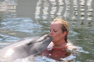 Jane McGill's album, playing with dolphins
