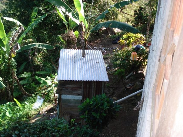 Dion White's album, jamaica