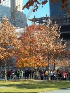 Michelle Skinner's album, New York 2012