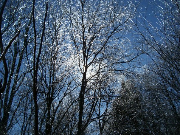 Mark Cagle's album, 2010 winter