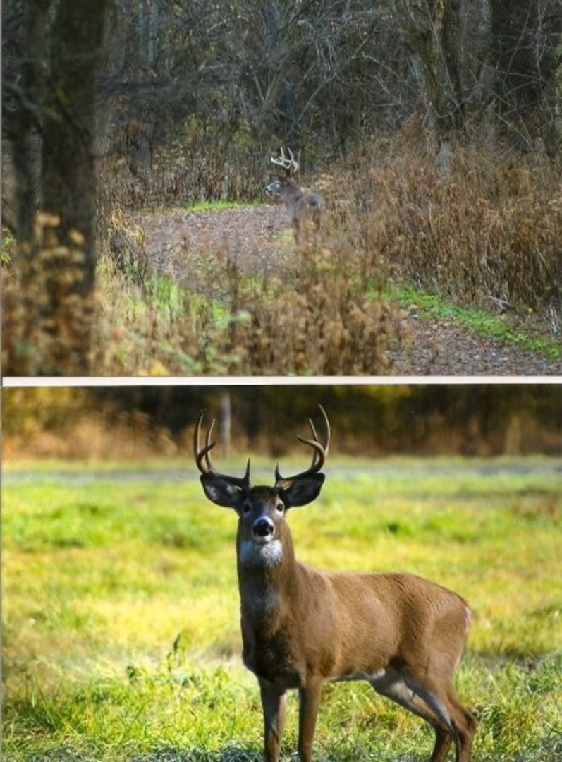 Debra Hensley-Lyons' album, Sugercreek Metro Parks