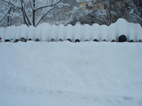 barbara dye's album, big snow