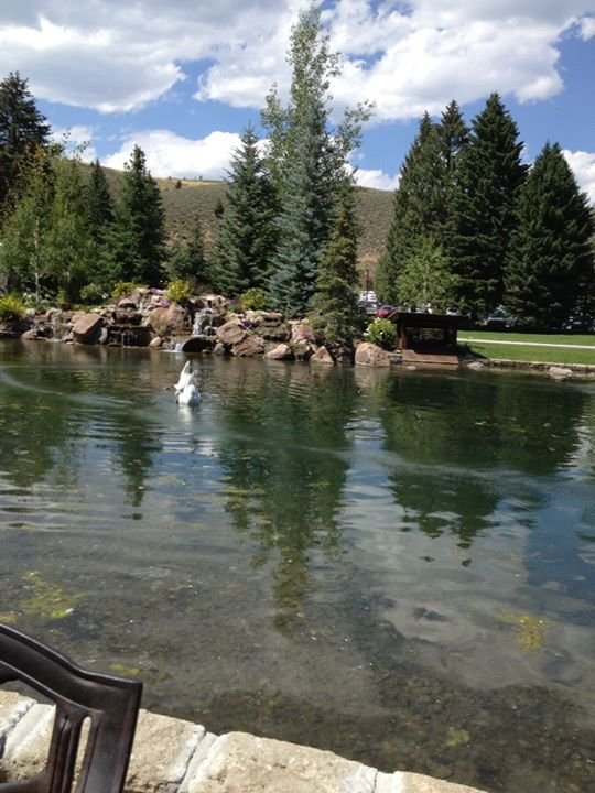 Nancy Mapes' album, iOS Photos