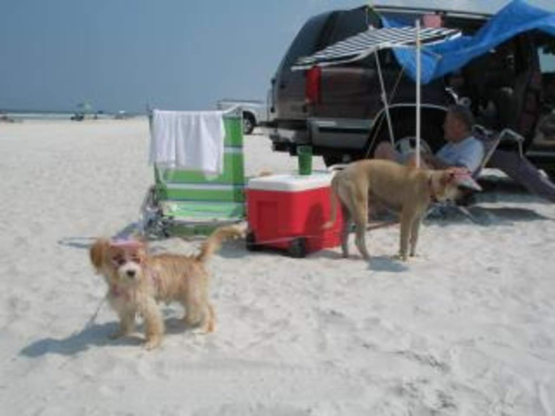 Vicki Waldren's album, A day at the Beach