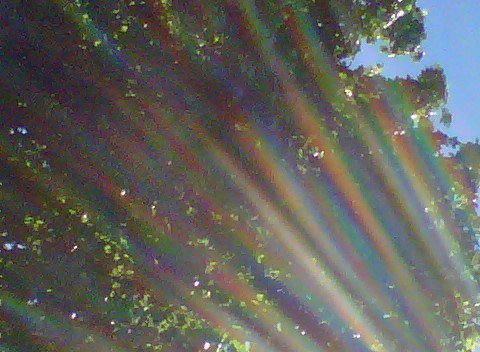 Vonda Leber's album, Mobile Uploads