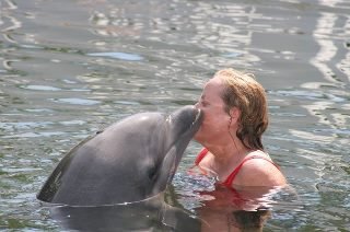 Jane McGill's album, playing with dolphins