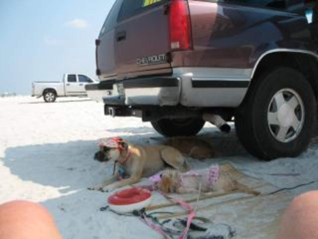 Vicki Waldren's album, A day at the Beach