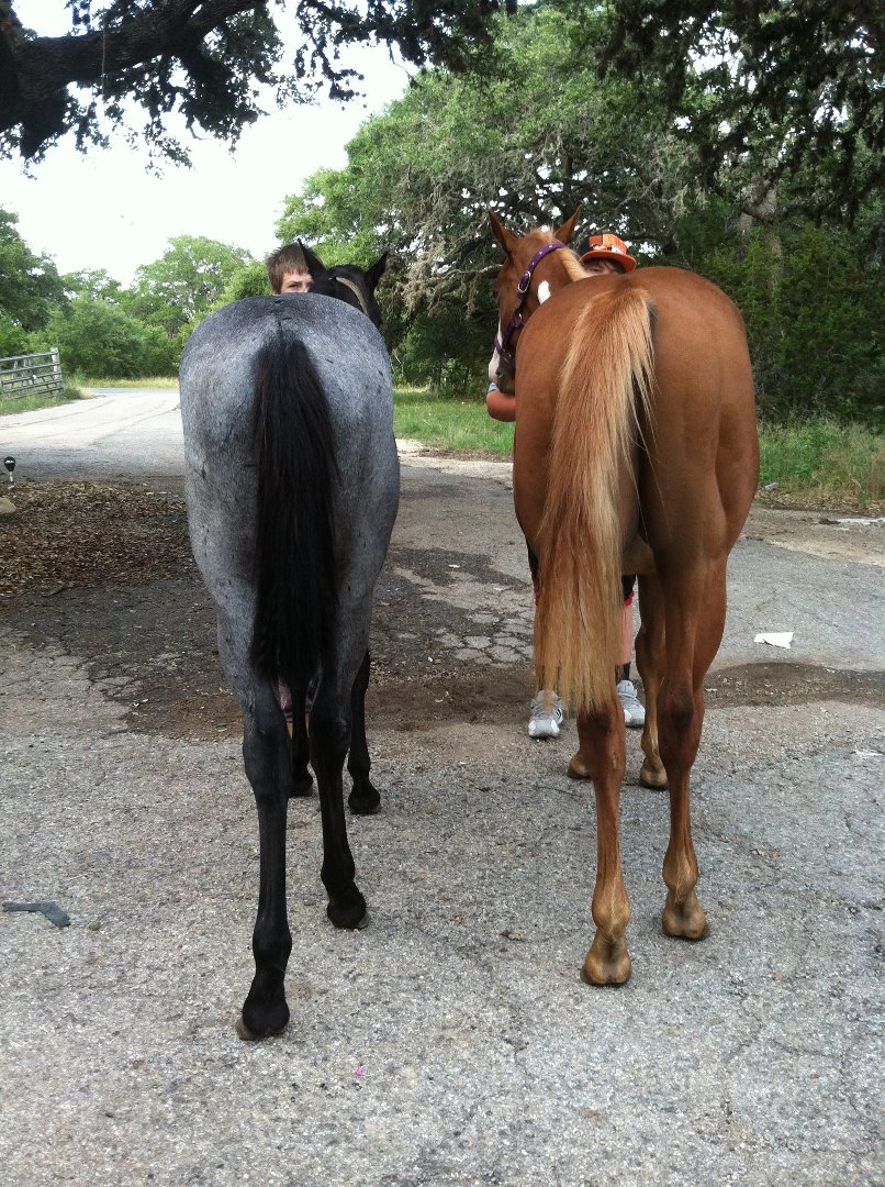 Tracey Addington's album, Cover Photos