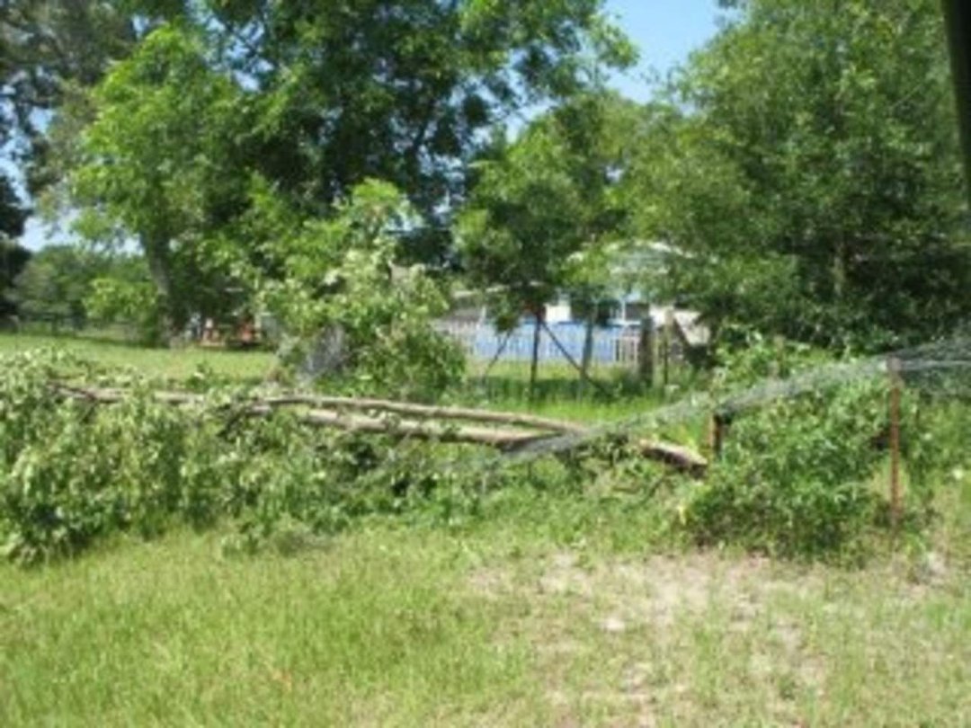 Vicki Waldren's album, storm 6-16-10