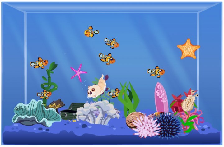 Heidi Kalmowitz's album, Happy Aquarium photos