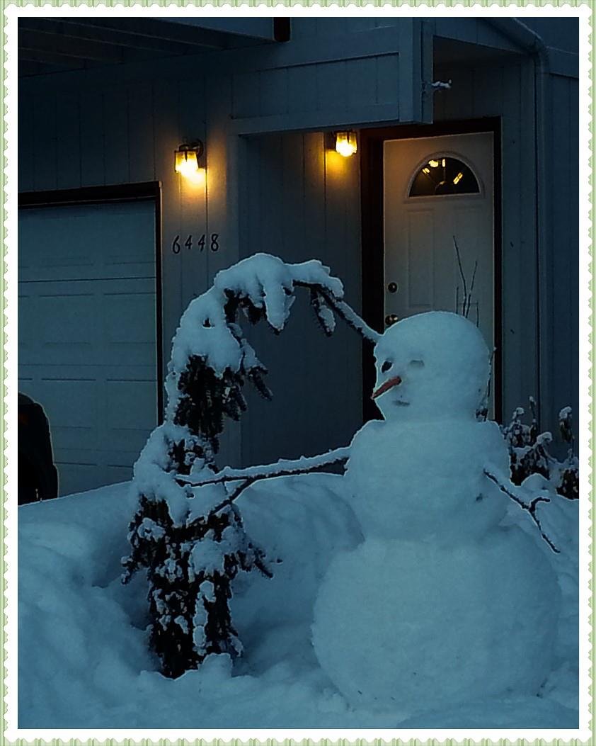 Carol Schlitte's album, Timeline Photos