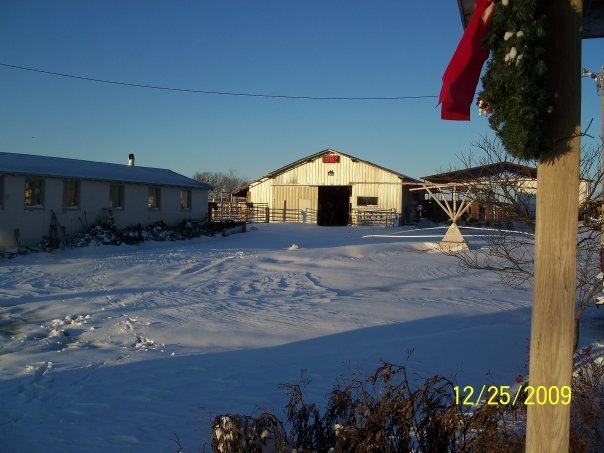 Daniel Corr's album, Christmas 2009