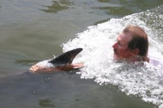Jane McGill's album, playing with dolphins