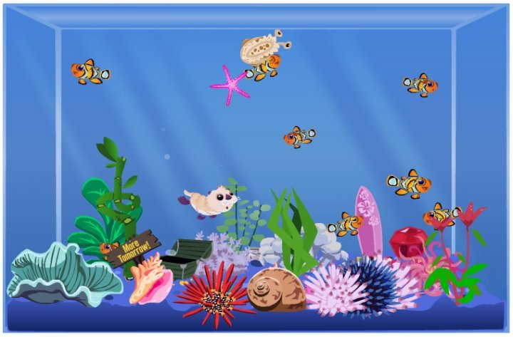 Heidi Kalmowitz's album, Happy Aquarium photos