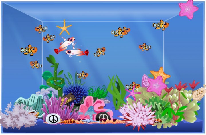 Heidi Kalmowitz's album, Happy Aquarium photos