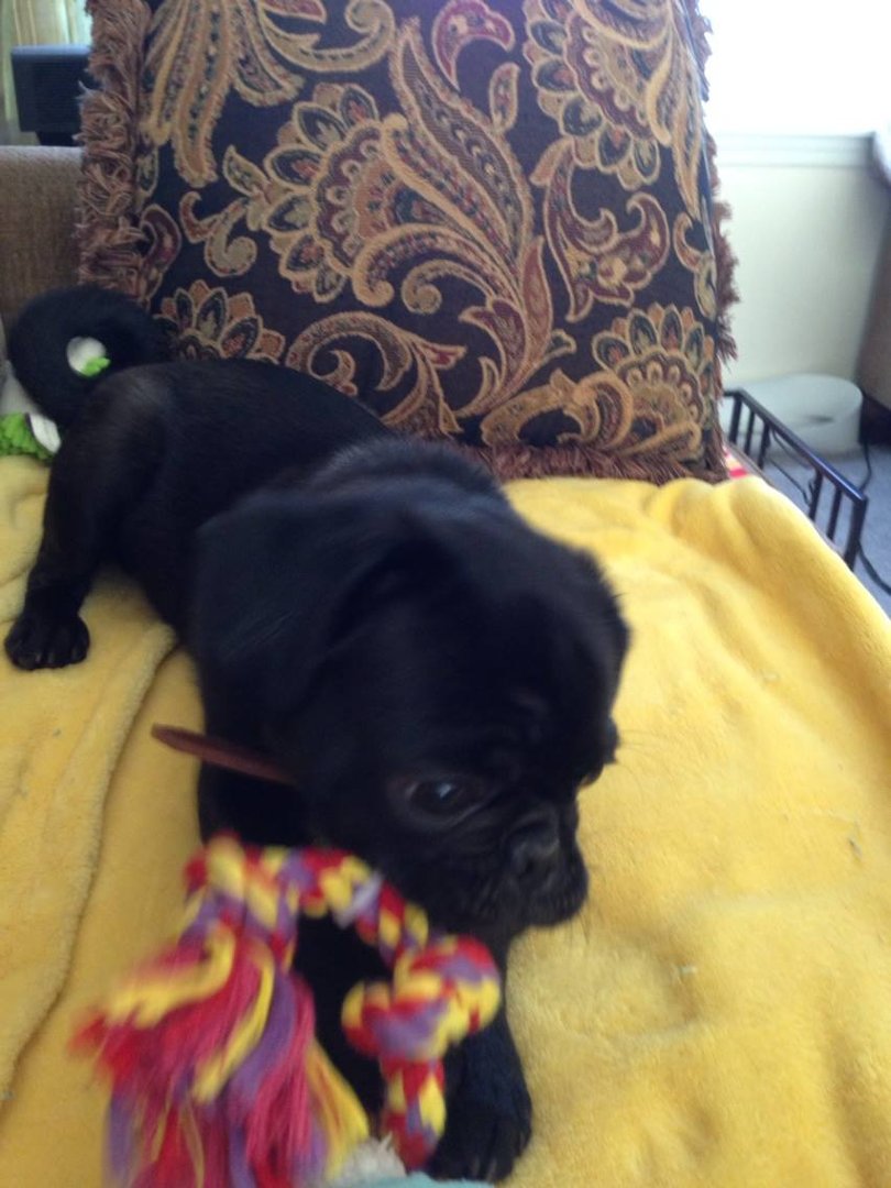 Kathie Derring's album, iOS Photos
