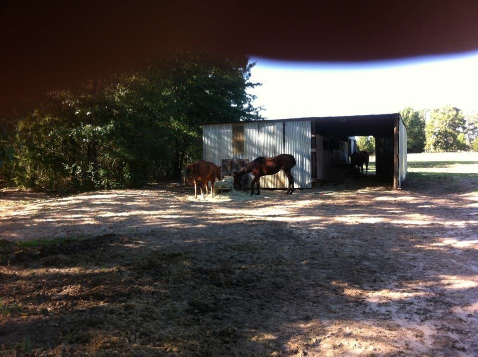 Russ Noland's album, Mobile Uploads