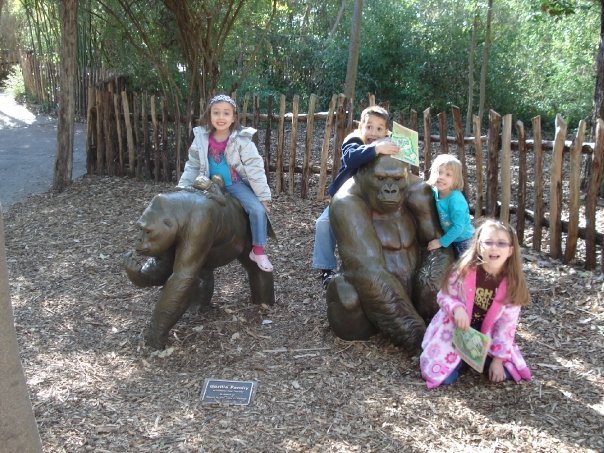 Tony Irizarry's album, Dalllas Zoo
