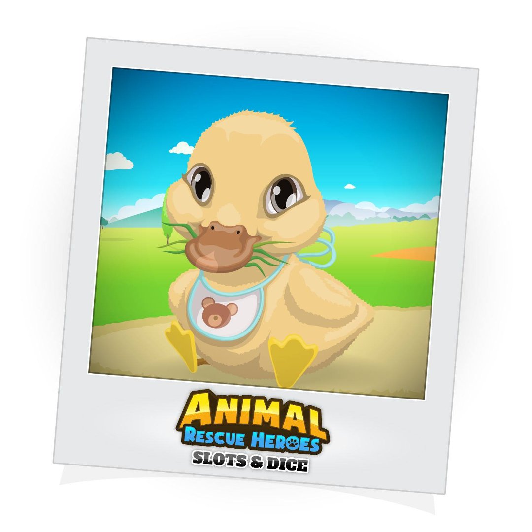 Shawn Fleeman's album, Animal Rescue Heroes: Slots&Dice Photos