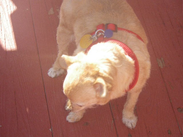 Debra Fusco-Kelley's album, August 7, 2011