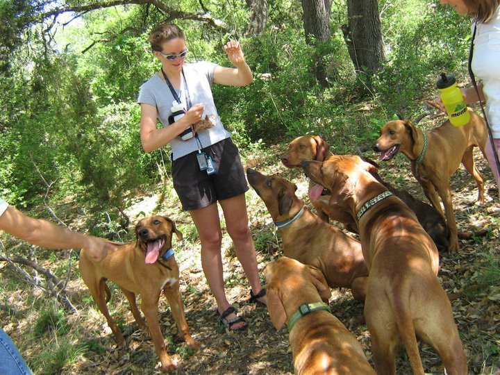 Vicki Chazan's album, Talus and Dakota