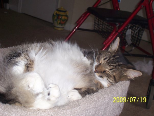 Sharon Kidder's album, my pictures