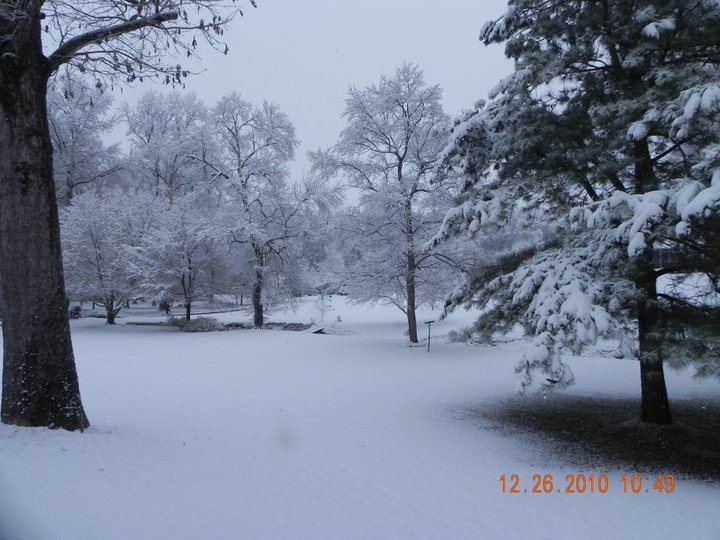 Ellen Phillips' album, Christmas 2010