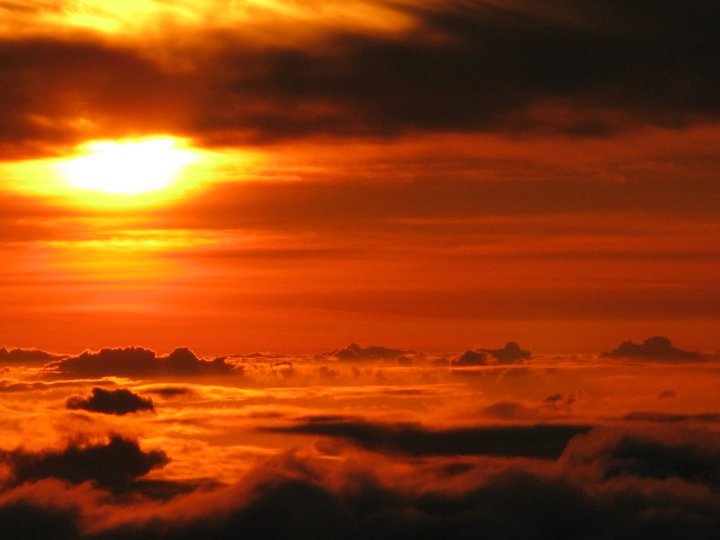 Roger Lander's album, Hawaii 2011