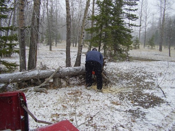 Brian Castle's album, spring camping A.K.A. the april blizzard 2008