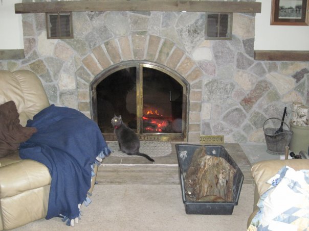 Donna Sobotta's album, Fireplace & Sidewalk