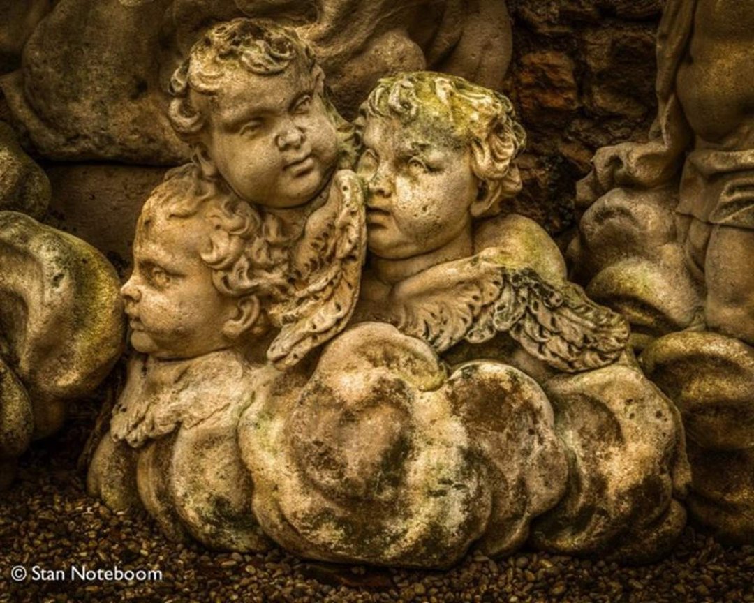 Stan Noteboom's album, 500px Photos