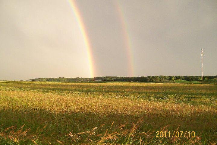 Robin Janousek's album, Cover Photos