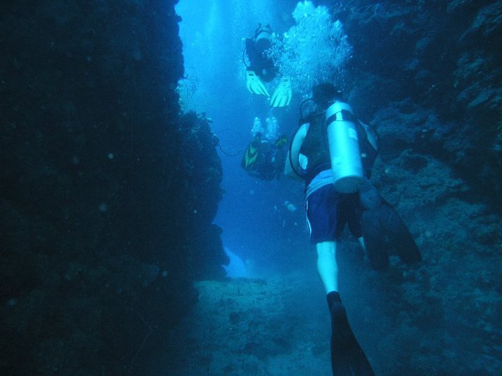 Garry Cardwell's album, Roatan Honduras 6-2010