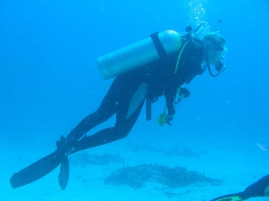 Steven Clem's album, St Maarten Diving