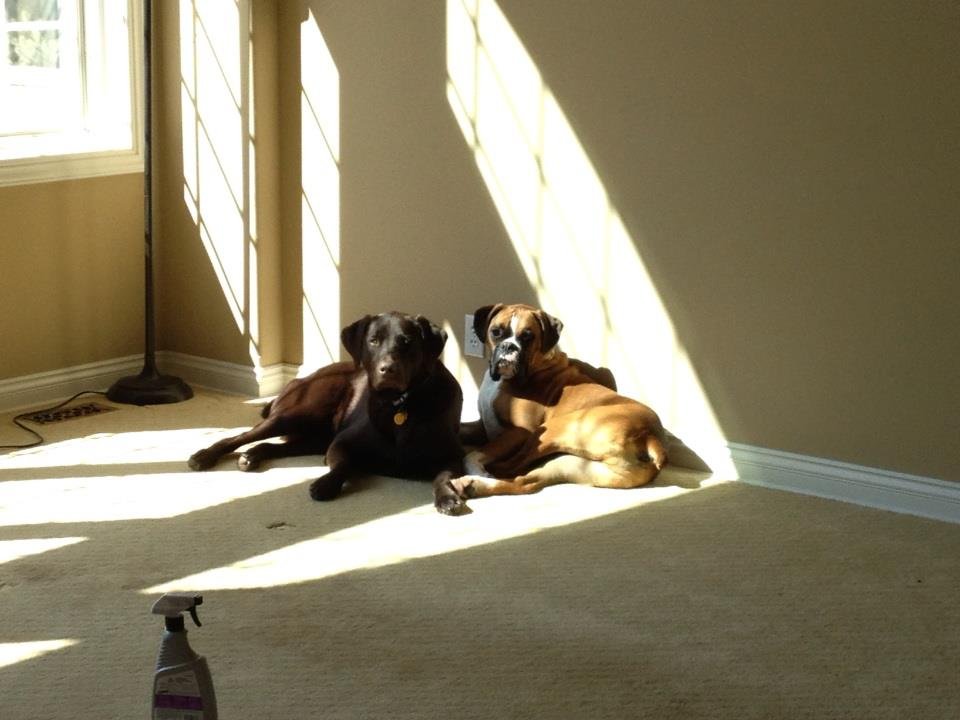 Marta Davis' album, iOS Photos