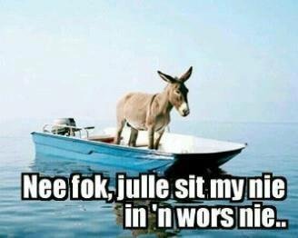 Rob Broker's album, Timeline Photos