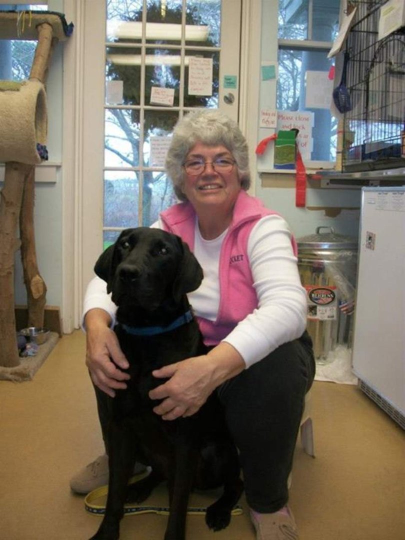 Lori Smith's album, Recent Adoptions at NSHA